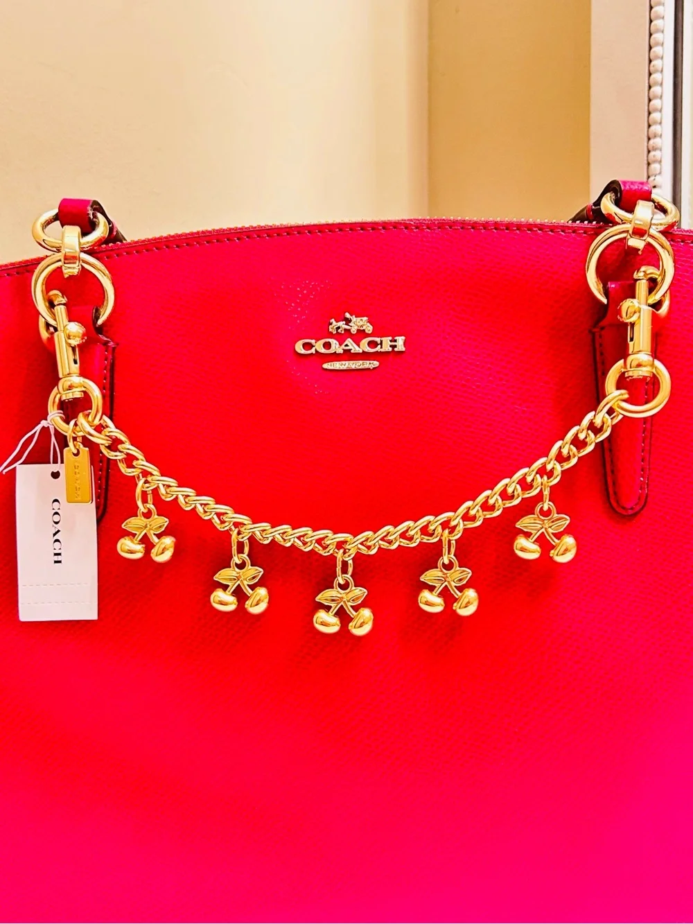 Coach Cherries Swag Bag Charm